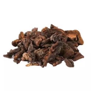 HONGOS SECOS DE PINO