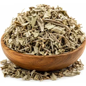 SALVIA