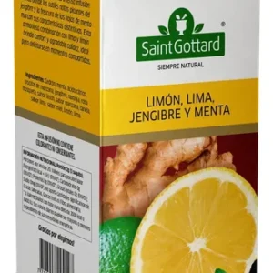 TE FRUTAL SAINT GOTTARD LIMA LIMON JENGIBRE MENTA
