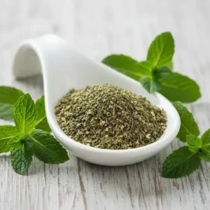 MENTA