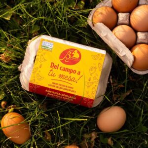 HUEVOS BONOVO 1//2  DOCENA